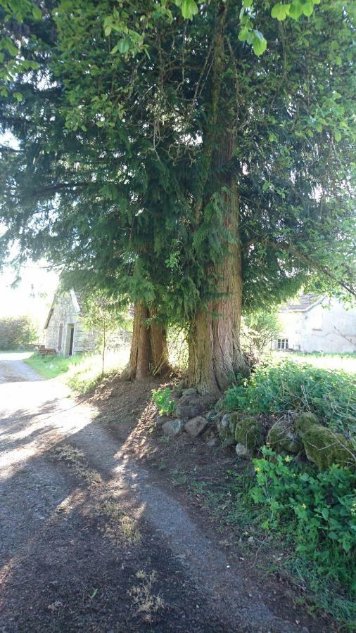 Ferme De La Grange Du Bas Villa Saint-Bresson ภายนอก รูปภาพ